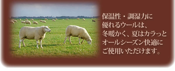 防ダニ・抗菌防臭国産羊毛混硬わた敷布団 説明画像４