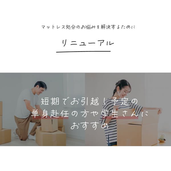 画像3: 日本製ポケットコイルマットレス 価格訴求モデル