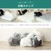 画像10: 日本製ポケットコイルマットレス 価格訴求モデル (10)