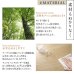 画像10: 天然木北欧デザインレザーチェア・ベンチダイニングセット【Greta】グレタ (10)