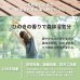 画像13: 日本製無塗装ひのきすのこベッド：ロールタイプ 超特価 (13)