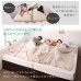 画像5: ガス圧式跳ね上げ＆BOX型引き出し収納連結ベッド【Valiente】バリエンテ ヘッドレス仕様 日本製 (5)