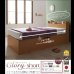 画像21: ショート丈ガス圧式跳ね上げ収納ベッド【Clory Short】クローリーショート日本製 (21)