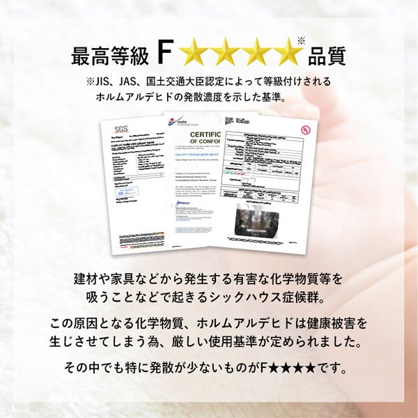 画像6: ロータイプロフトベッド【Sofie】低ホルムアルデヒド垂直ハシゴ付き
