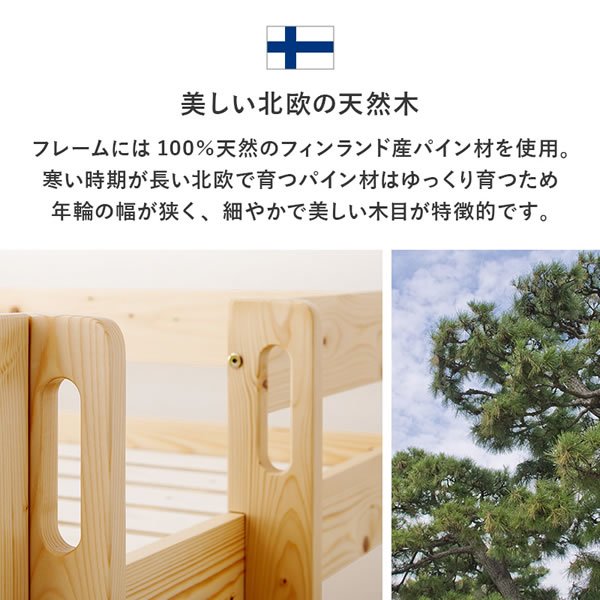 画像16: ロータイプロフトベッド【Sofie】低ホルムアルデヒド垂直ハシゴ付き