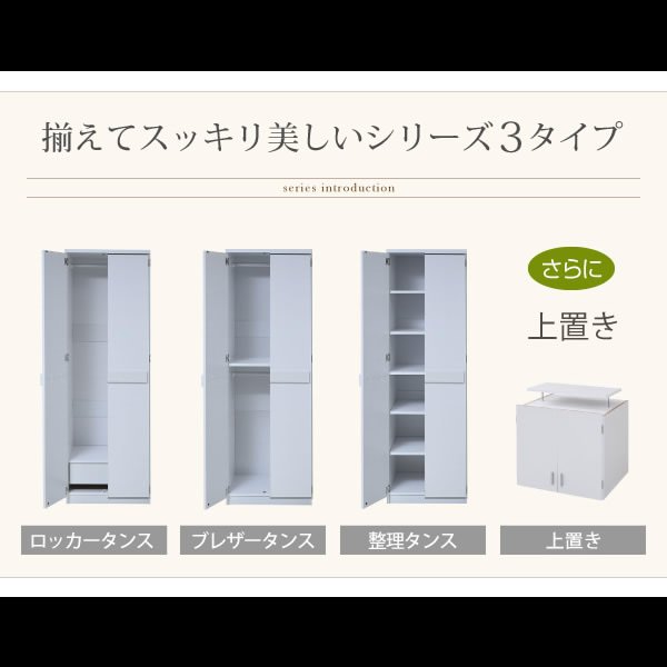 画像6: お買い得価格 壁面収納家具ロッカーシリーズ【Salus】サルース