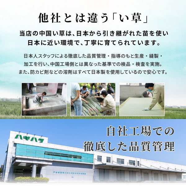 画像13: 深さ・カラー・長さが選べる！収納庫付き畳ユニット【大維志】