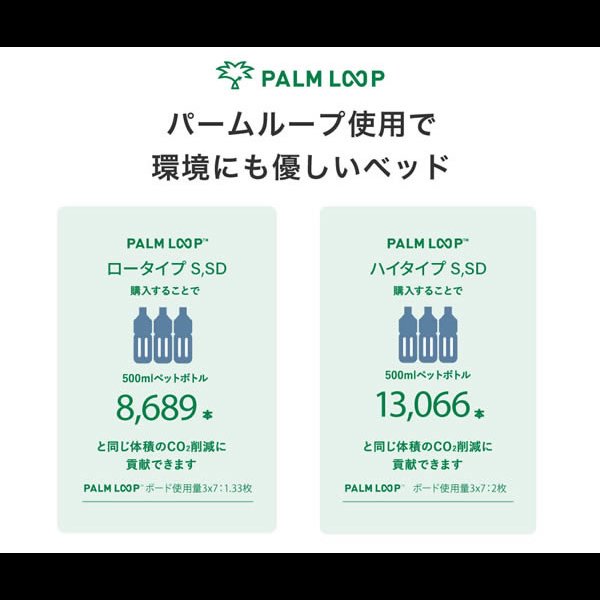 画像13: い草張り床板×PALMLOOP仕様床下収納付きベッド【Ismael】