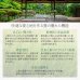 画像5: 棚付き畳ベッド・国産・低ホルムアルデヒド・跳ね上げ収納【鈴菜】すずな (5)