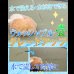 画像12: 床下収納庫付きヘッドレス畳ベッド【七夕香】日本製 (12)