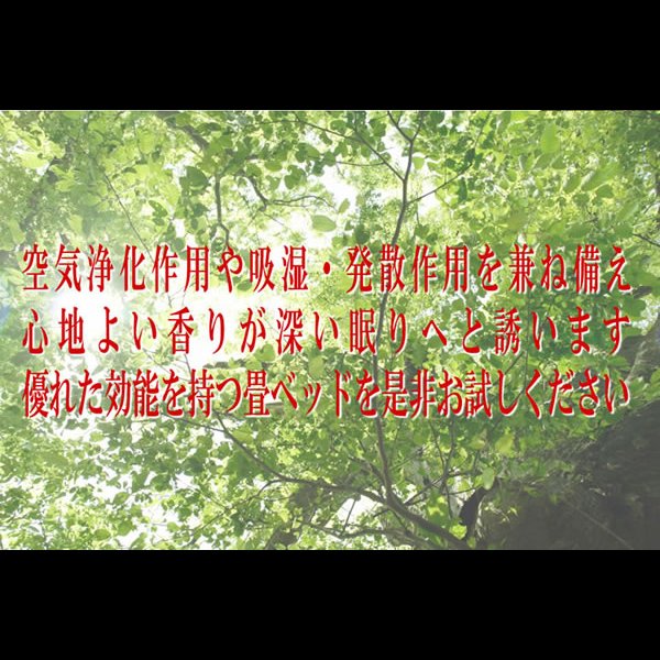 画像8: 棚照明引出付畳ベッドA151　【動画説明付き】 選べる機能畳