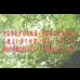 画像8: 棚照明引出付畳ベッドA151　【動画説明付き】 選べる機能畳 (8)