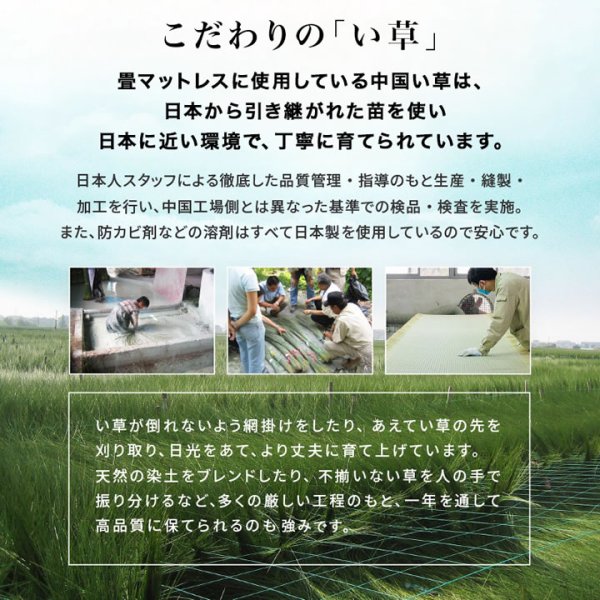 画像14: 畳も布団も干せる簡単組立畳ベッド シングル【綾匠】モダン棚コンセント付き