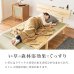画像7: 棚コンセント付きロングサイズ畳ベッド【香凪】 (7)