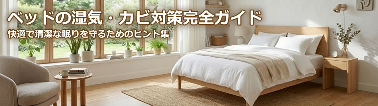 ベッドの湿気・カビ対策完全ガイド