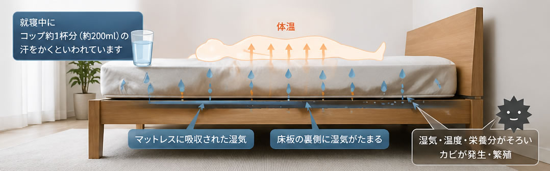 カビ発生の原因