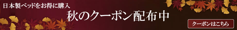 期間限定クーポン