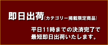 即日出荷・当日出荷