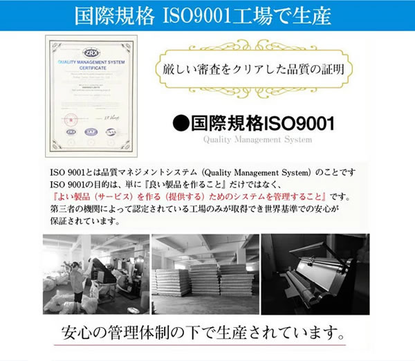 10cmサイズで選べるセミオーダー収納ベッド【Khronos】クロノスを通販で激安販売