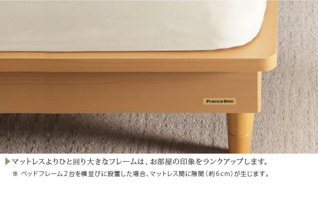 モダンデザインパネル・高さ調整脚付きベッド フランスベッド製ベッドフレームを通販で激安販売