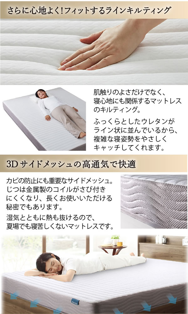 敷布団も使える市販衣装ケース対応収納ベッド【Clark】ロータイプを通販で激安販売