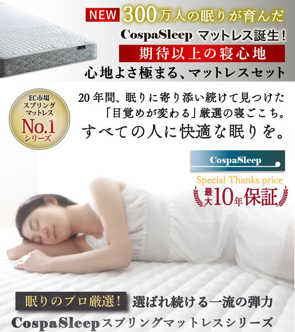 敷布団も使える市販衣装ケース対応収納ベッド【Clark】ロータイプを通販で激安販売