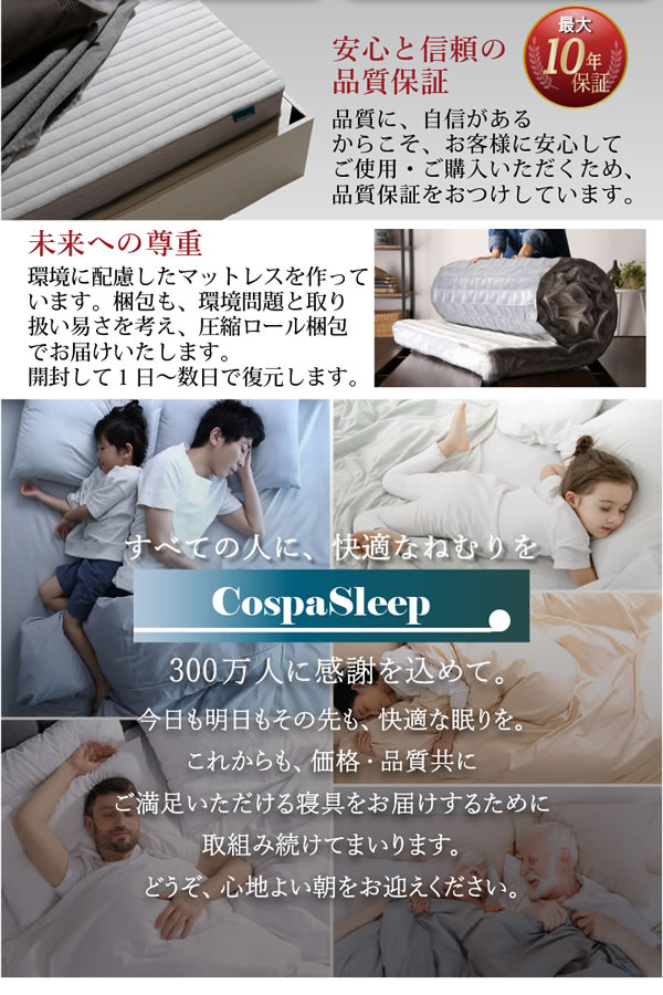 敷布団も使える市販衣装ケース対応収納ベッド【Clark】ロータイプを通販で激安販売