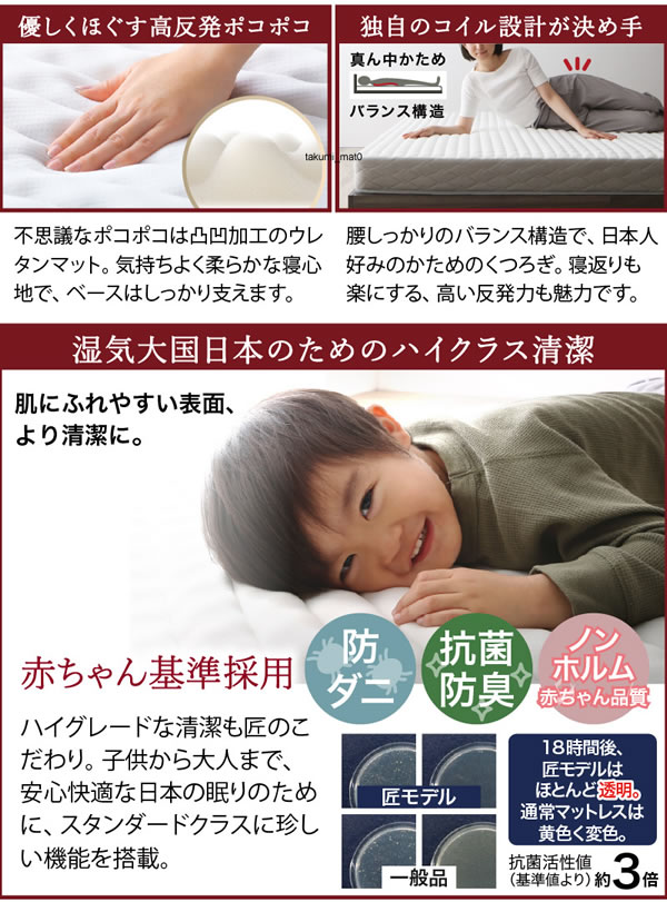 敷布団も使える市販衣装ケース対応収納ベッド【Clark】ロータイプを通販で激安販売