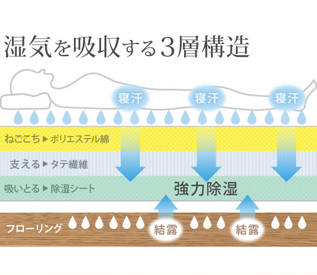 吸湿する1枚で寝られるオールインワン敷布団【カラリフトン】を通販で激安販売