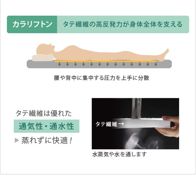 吸湿する1枚で寝られるオールインワン敷布団【カラリフトン】を通販で激安販売