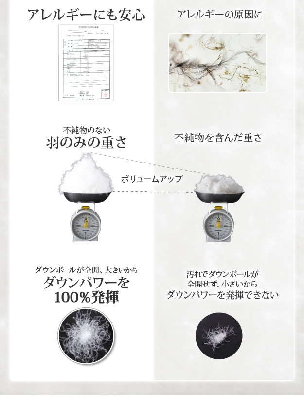 日本限定 日本製 羽毛布団 スペイン産ホワイトダック 羽毛掛け布団 ロイヤルゴールドラベル 成熟羽毛寝具シリーズ 真羽毛 2枚合わせ掛け布団 セミダブル ロングサイズ 90400052 tdh-latinoamerica.de
