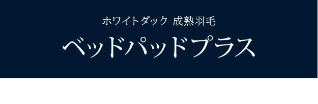 ホワイトダック成熟羽毛仕様ベッドパッドプラスを通販で激安販売