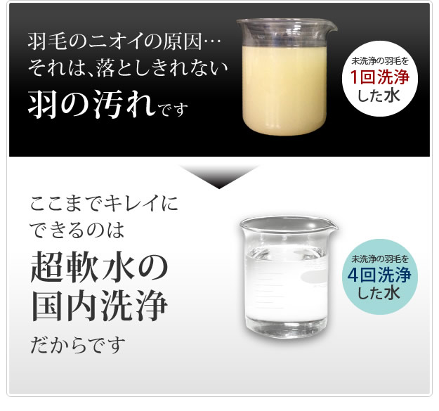 ホワイトダック成熟羽毛仕様ベッドパッドプラスを通販で激安販売