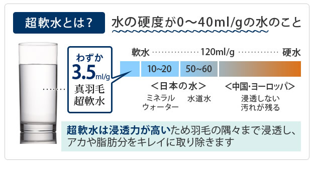 ホワイトダック成熟羽毛仕様ベッドパッドプラスを通販で激安販売