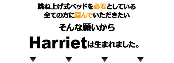 分割すのこ床板仕様・スリム棚付きガス圧式跳ね上げ収納ベッド【Harriet】ハリエットを通販で激安販売