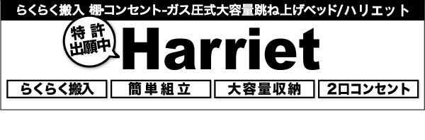 分割すのこ床板仕様・スリム棚付きガス圧式跳ね上げ収納ベッド【Harriet】ハリエットを通販で激安販売