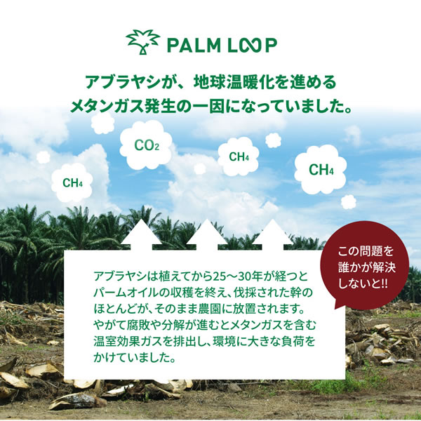 傾斜デザイン採用！すのこ仕様日本製ローベッド【Palm-b】を通販で激安販売