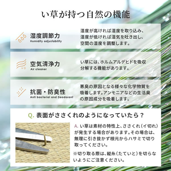 深さ・カラー・長さが選べる！収納庫付き畳ユニット【大維志】を通販で激安販売