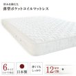 画像3: ショート丈にも対応した薄型日本製ポケットコイルマットレス 開梱設置無料 (3)
