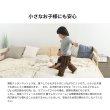 画像29: 超高弾性・超高密度・高反発ウレタンマットレス【咲夜ハイフィール】 (29)