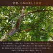 画像11: ウォルナット突板仕様ツインベッド【Gemini】ジェミニ (11)