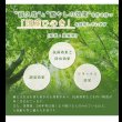 画像6: 3段階高さ調整付き総ヒノキベッド【Louisa】 価格訴求品 (6)