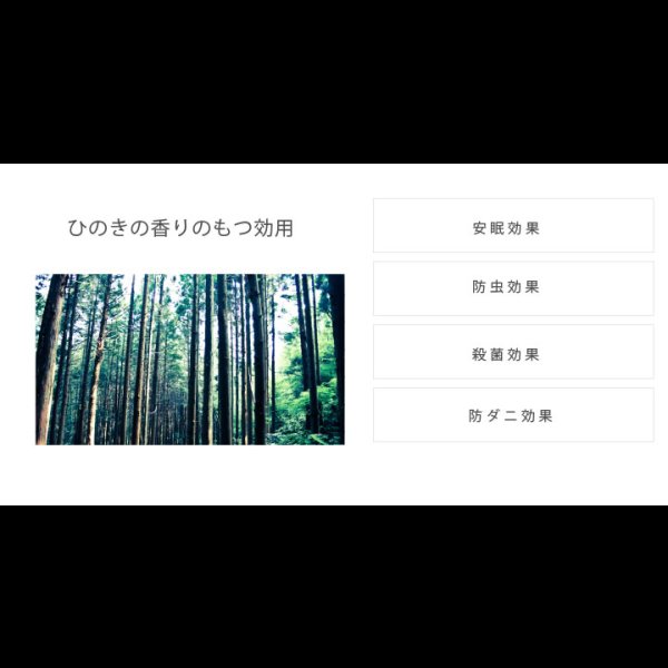 画像7: 日本製無塗装ひのきすのこベッド：フラットタイプ　低ホルムアルデヒド・高さ調整付き (7)