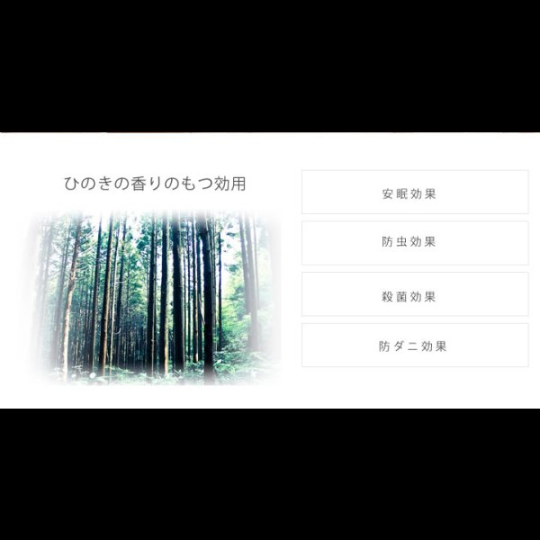 画像9: 日本製無塗装ひのきすのこベッド：シンプルタイプ　低ホルムアルデヒド・高さ調整付き (9)