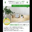 画像5: 棚付き・カントリー調すのこベッド【Cielo】シエロ Renew！お買い得 (5)
