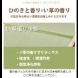 画像22: 日本製無塗装ひのきすのこベッド：スピード配送対応 低ホルムアルデヒド・高さ調整付き (22)