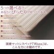 画像2: 国産ポケットコイルマットレスベッド【Waza】 (2)