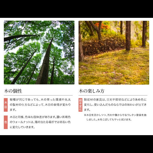 画像8: ウォールナット無垢材仕様ハイバックチェアダイニングセット【Virgo】バルゴ (8)
