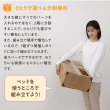 画像16: 家族で使える連結フロアベッド【Family】 5色展開 (16)