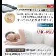画像18: 使いやすさを改善した満足フロアベッド【Terence】 7色展開 (18)